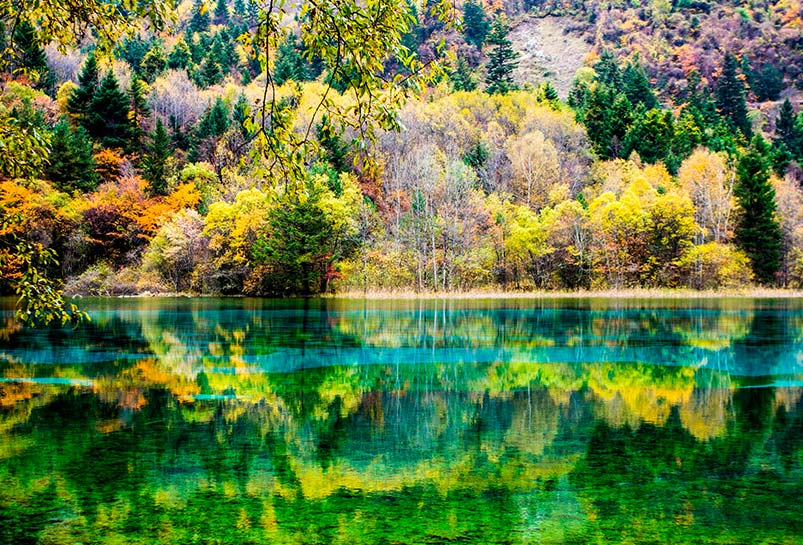 4 Days Jiuzhaigou and Huanglong Group Tour from Chengdu by Road ...