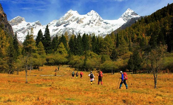 10 Days West Sichuan Autumn Tour: Siguniangshan Danba Xinduqiao Daocheng Yading Gongga
